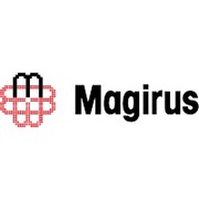 Magirus International GmbH in Eichwiesenring 9, 70567, Stuttgart